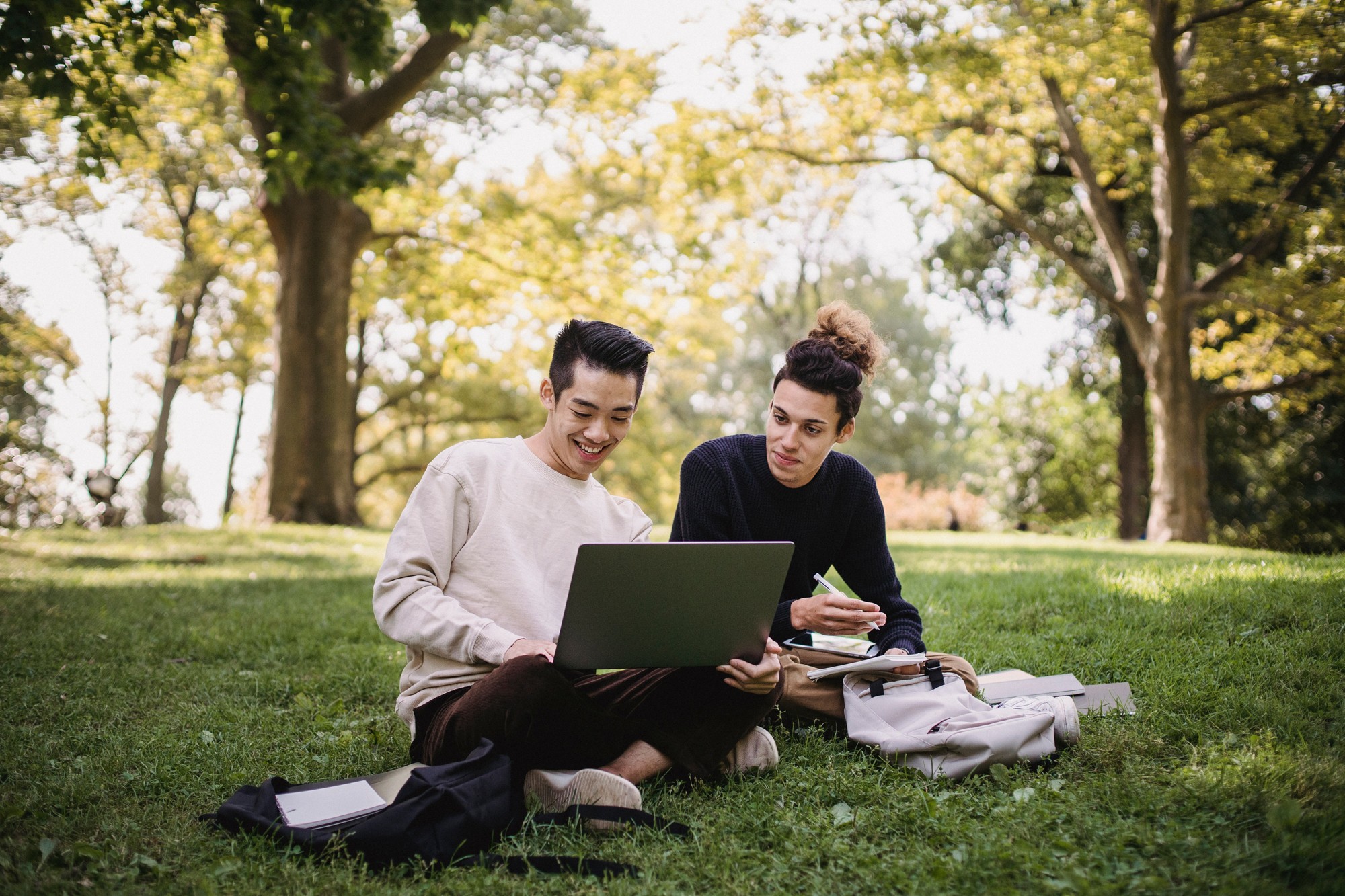 students studying on park grass